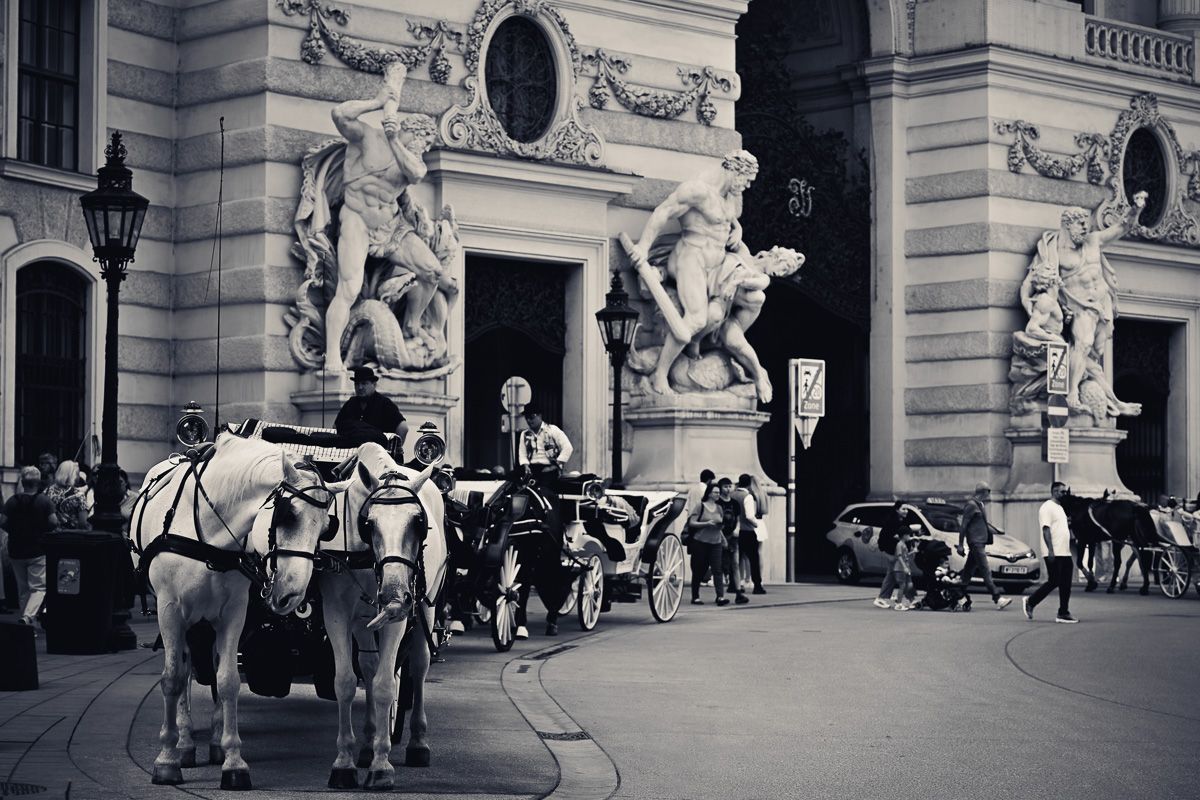 Hofburg Fiaker tourist photo shooting during a ride