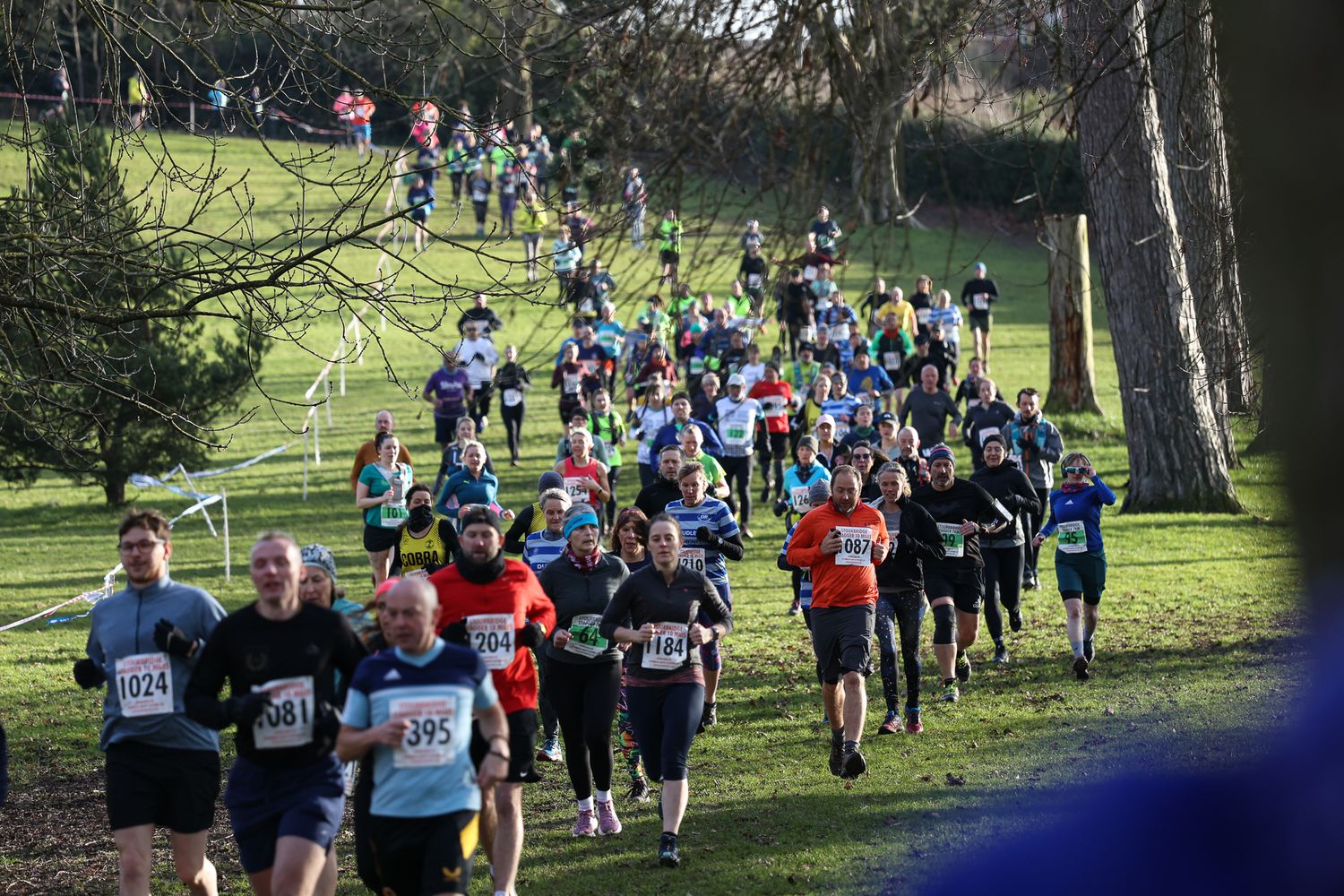 Cross country runners ascending a grassy hill during a competitive race.