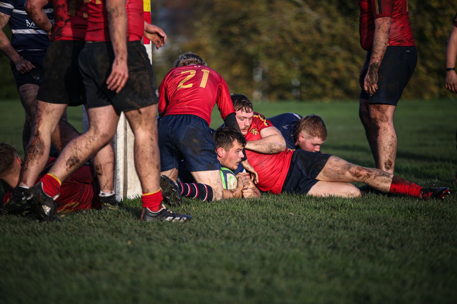 Rugby players engaging in a scrum formation on a grass field during a match.