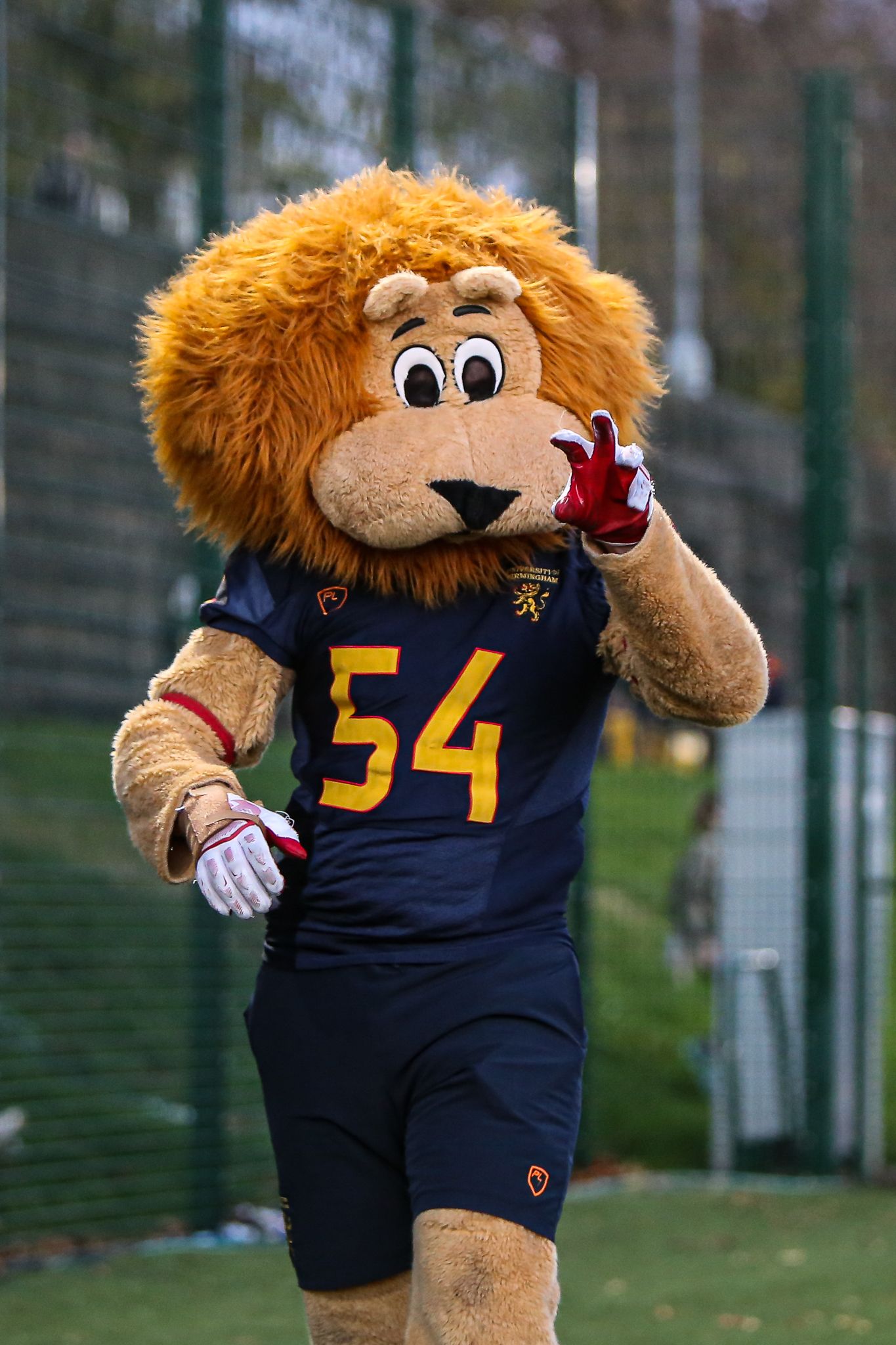 A sports mascot lion wearing a navy blue jersey with number 54 gestures while standing on a grassy field.