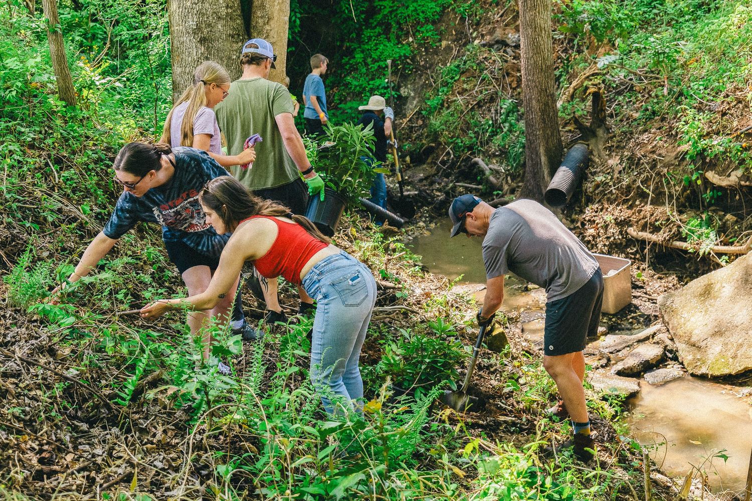 Volunteers working together to clean up a creek bed in a lush forest environment.
