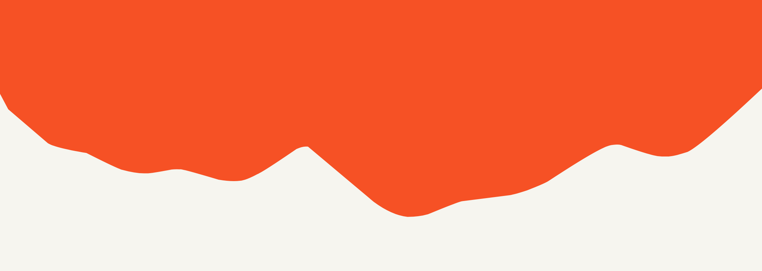 Orange wavy shape with a smooth curved edge against a light cream background, creating a modern decorative divider.