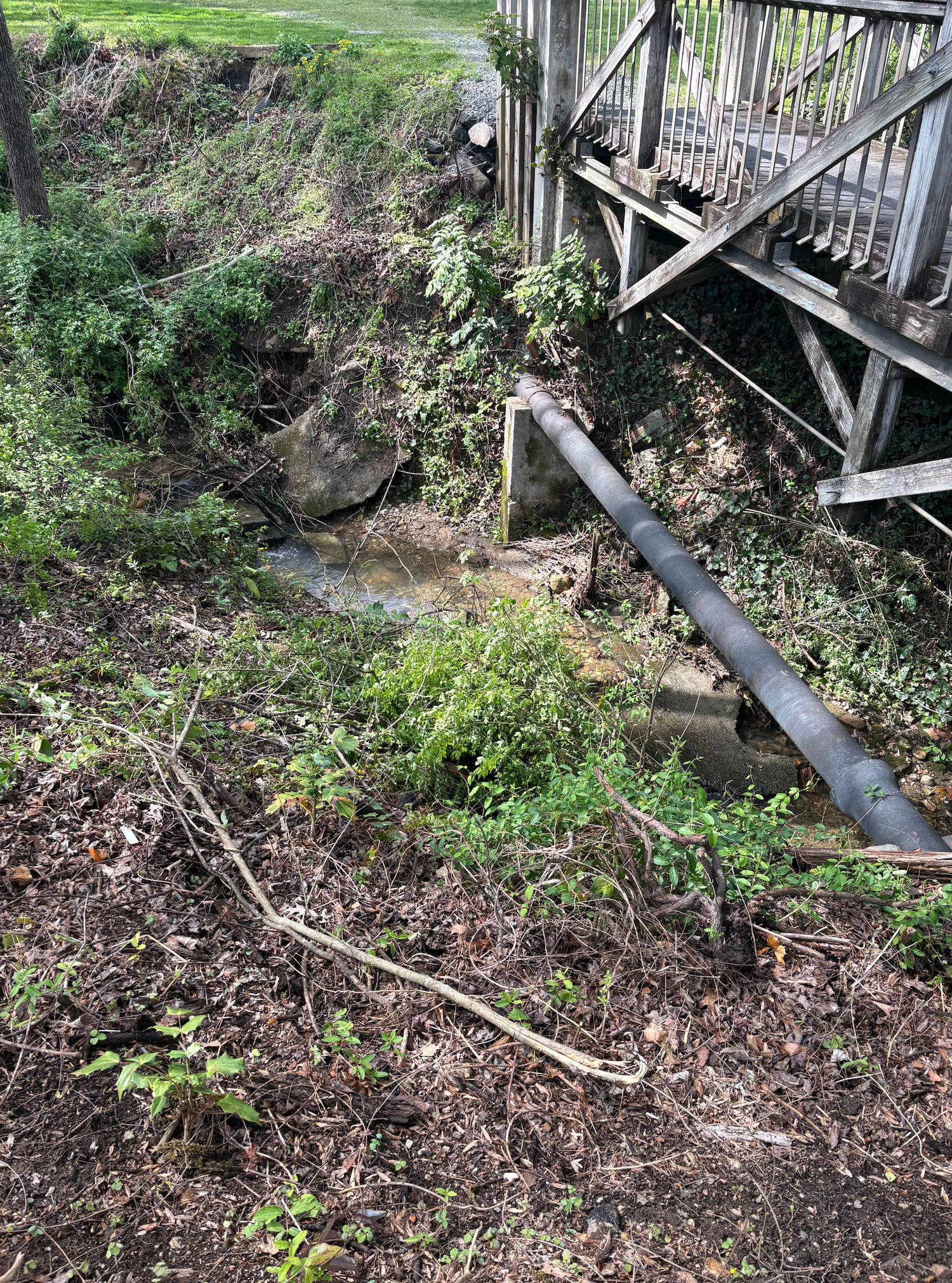Eroded creek bank with exposed pipe near wooden deck stairs, surrounded by overgrown vegetation and debris.