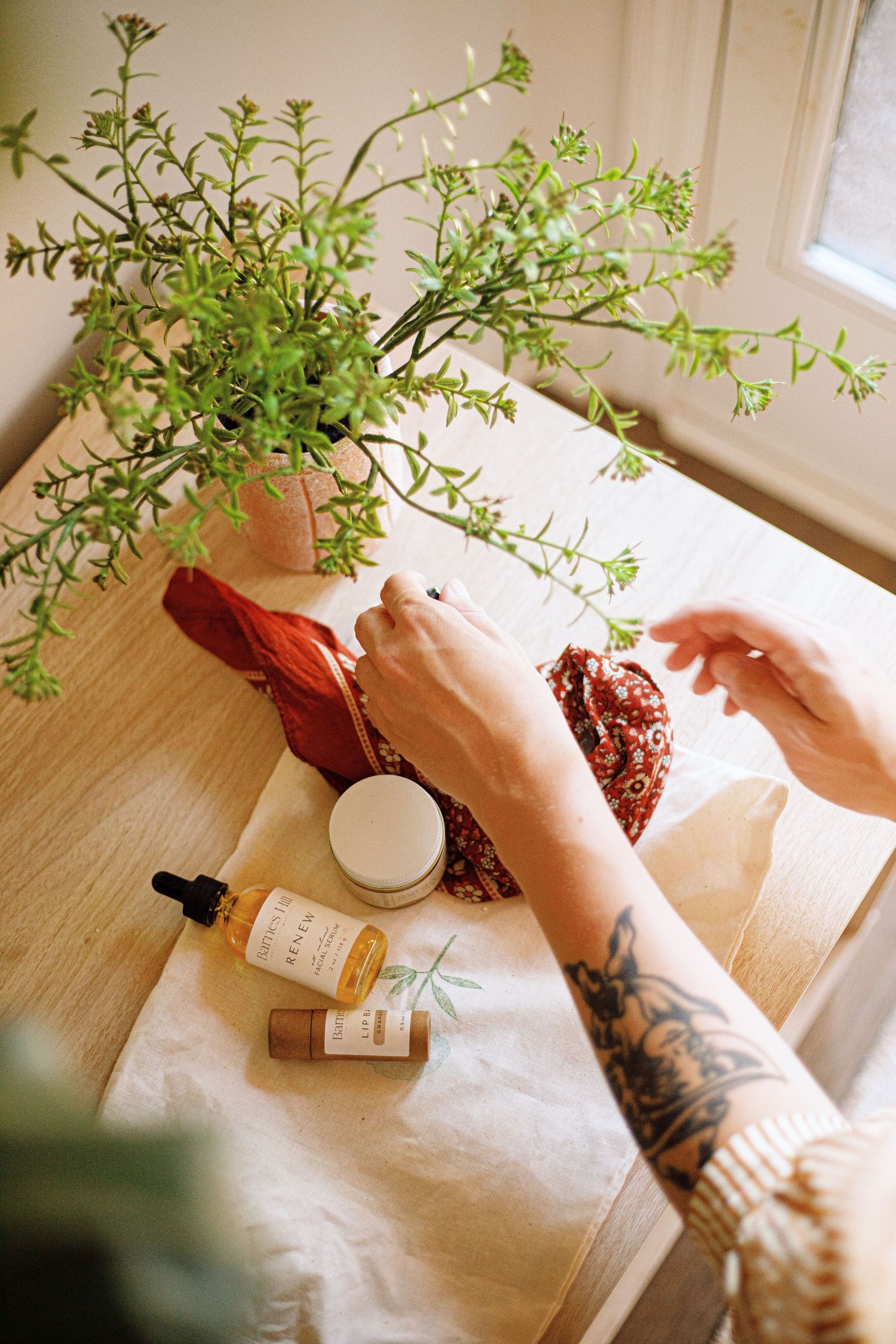 Hands with a tattoo arrange green plants and brown bottles on a light wooden surface near a window.