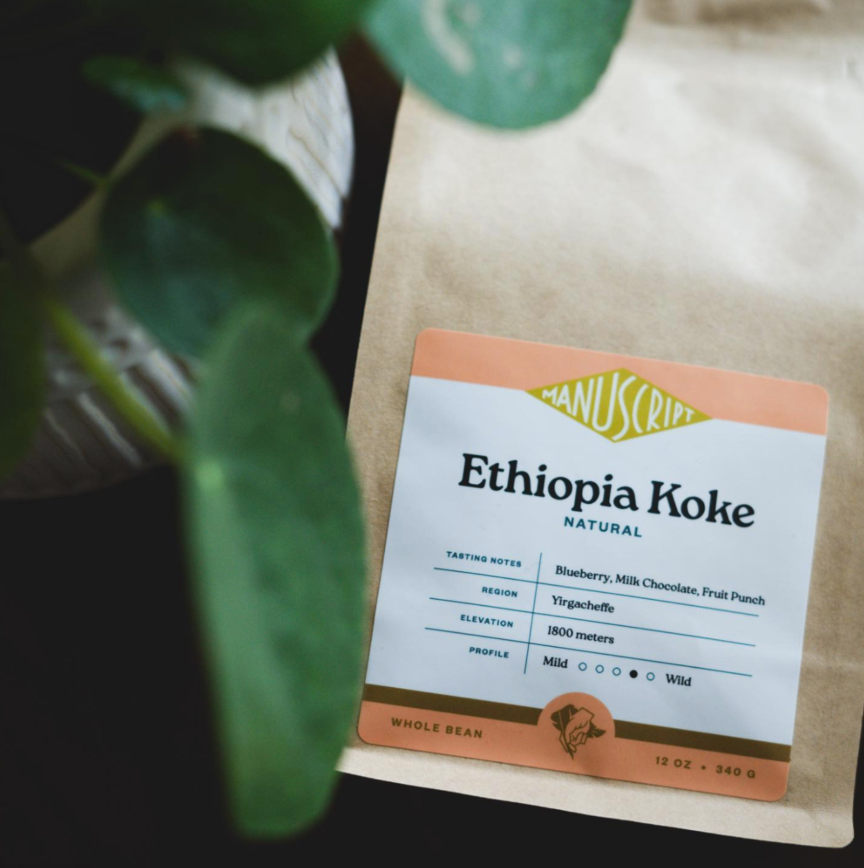 Bag of Ethiopia Koke natural coffee beans with orange label against blurred green foliage background.