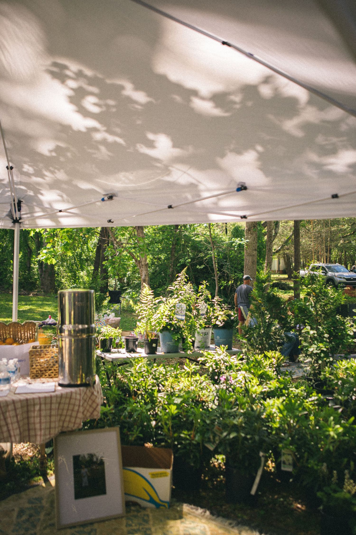 Outdoor market tent with lush green plants, a silver urn, and dappled sunlight filtering through trees in a garden setting.