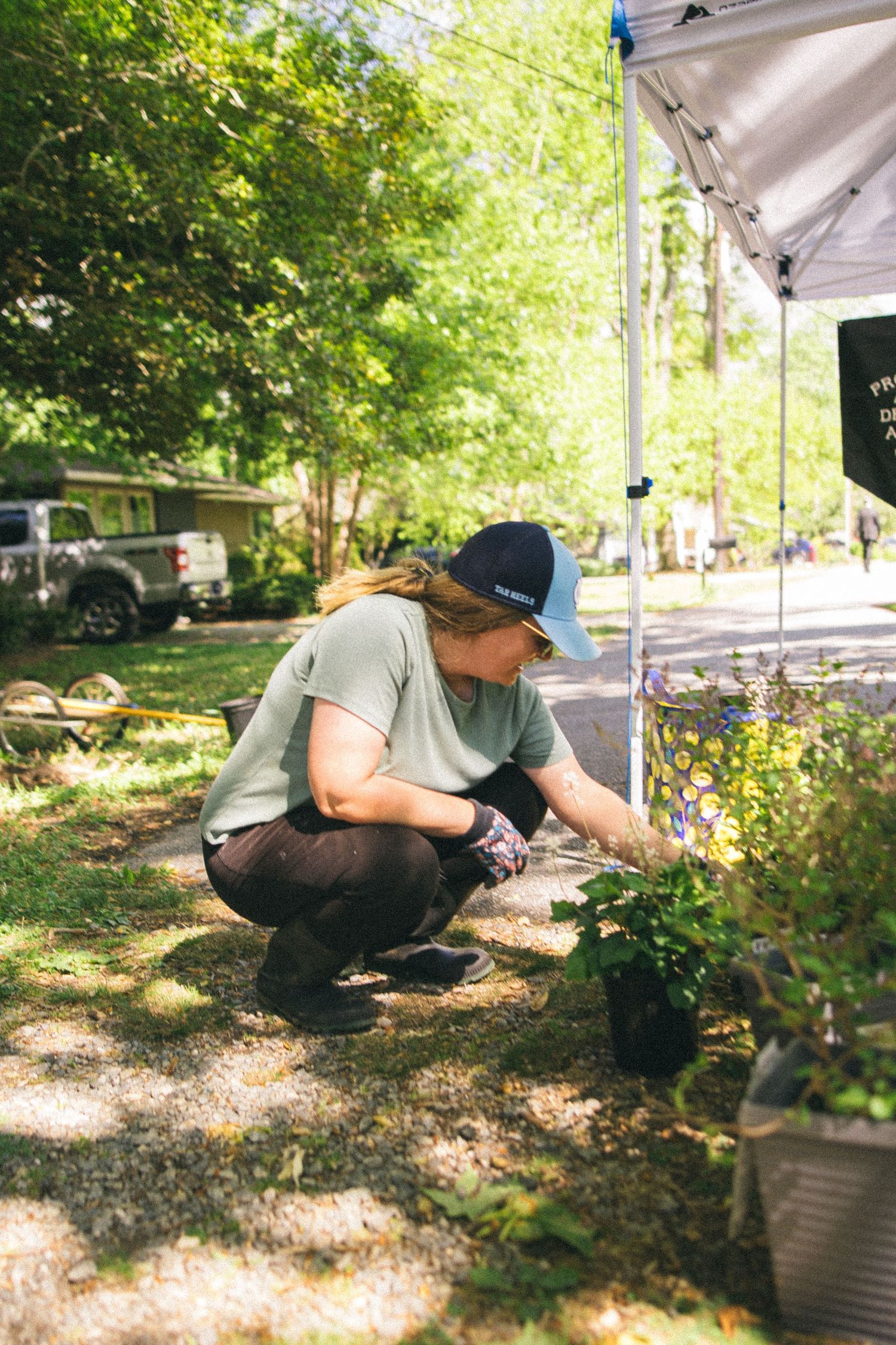 Woman in cap and gloves crouching to tend plants outdoors near a white canopy tent on a sunny day.