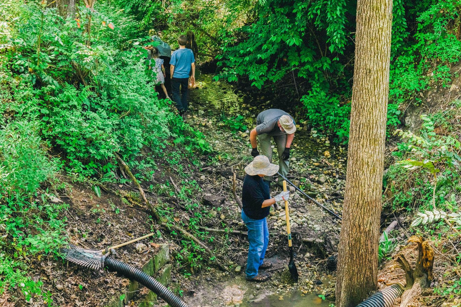 Three people working on a wooded hillside trail, clearing brush and debris among lush green trees.
