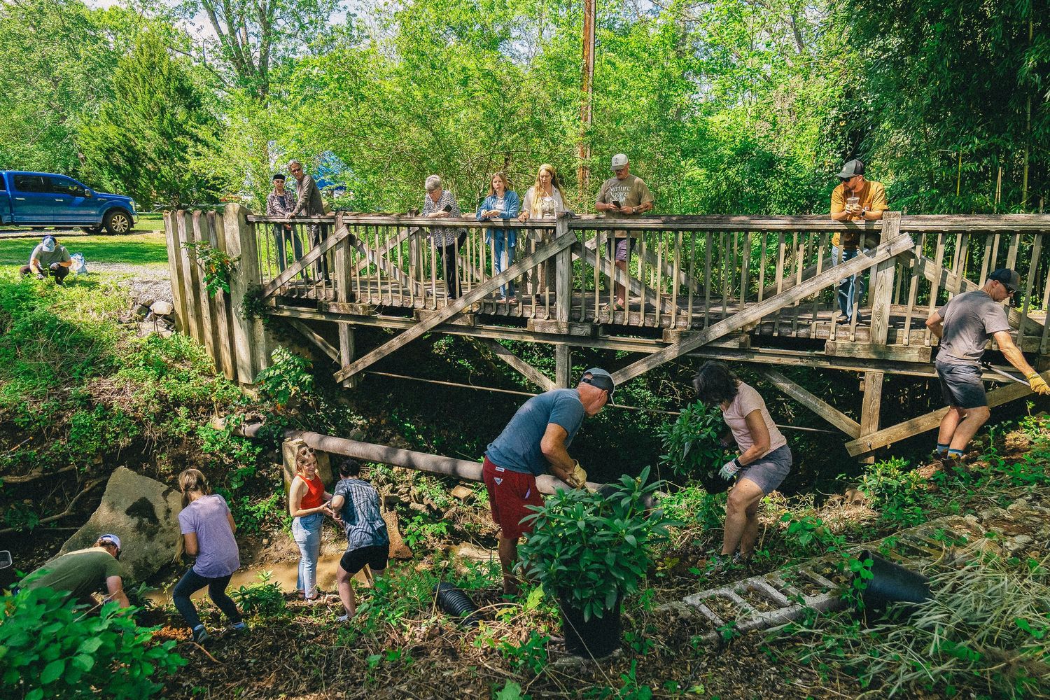 Community volunteers work together in a lush green garden, clearing plants near a wooden bridge on a sunny day.