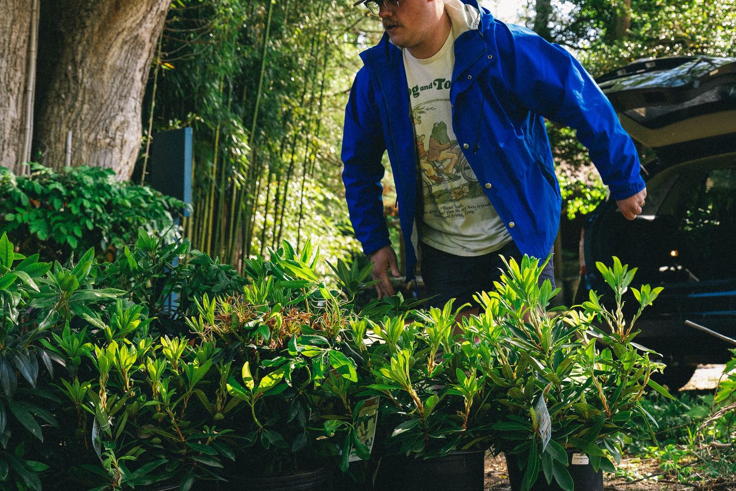 Person in blue jacket tending to potted green plants outdoors at a nursery garden center.