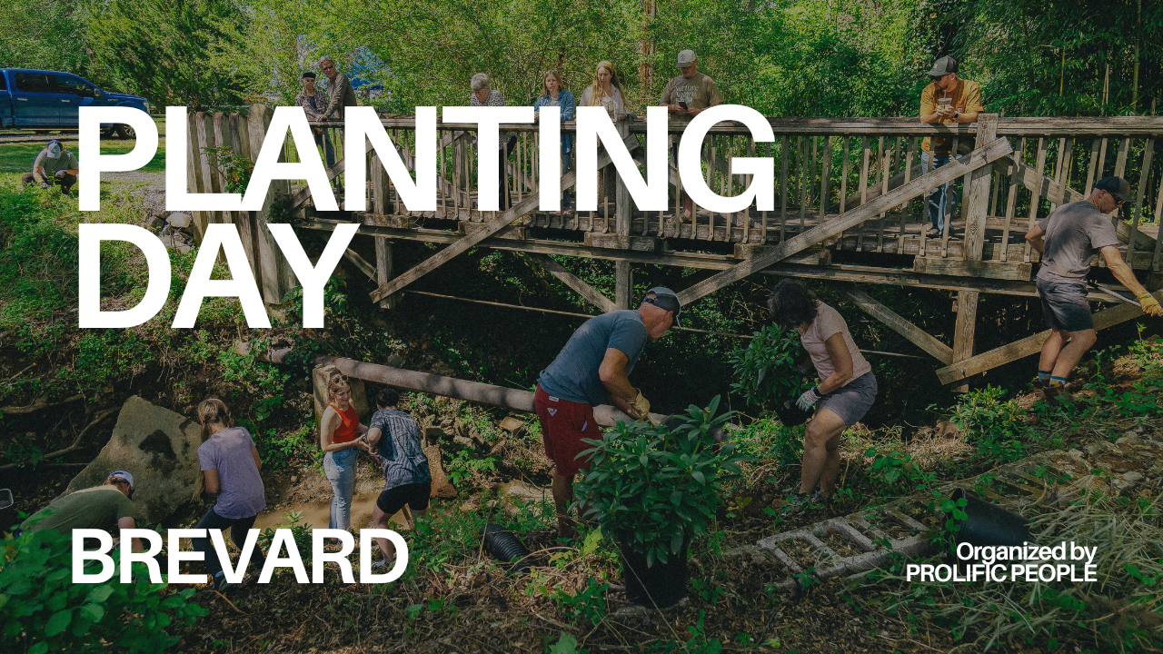 Group of volunteers participating in a community planting day event in Brevard, organized by Prolific People.