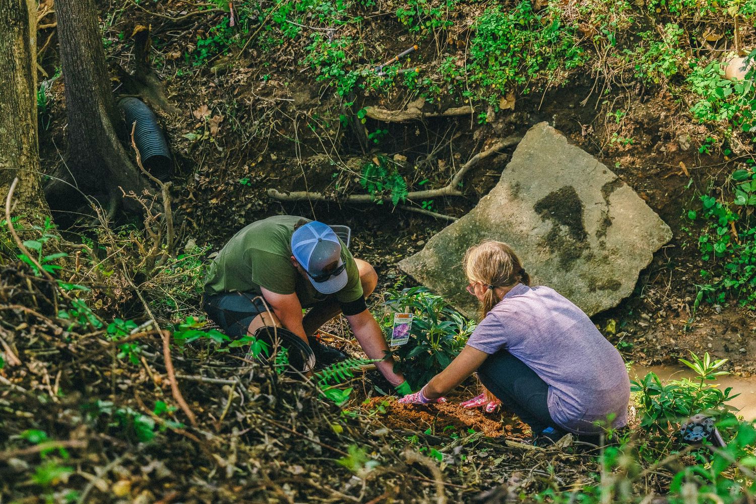 Two people kneeling in a forest, examining plants and rocks on the ground surrounded by lush green vegetation.