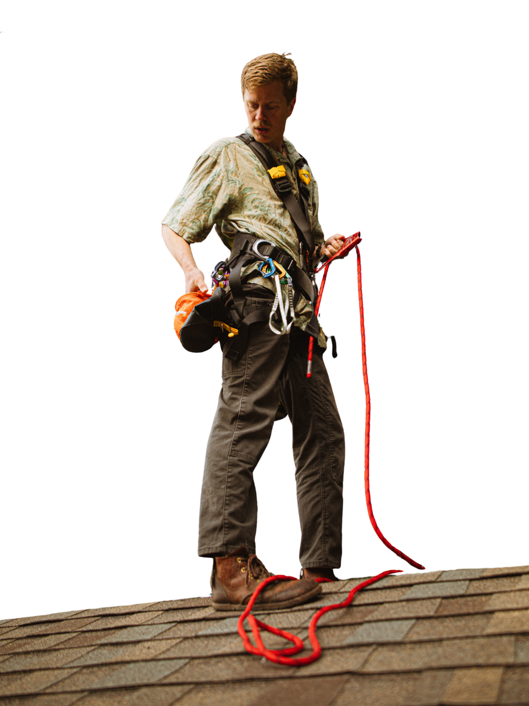 Roofer wearing a safety harness and climbing gear stands on an asphalt shingle roof holding a red safety rope.
