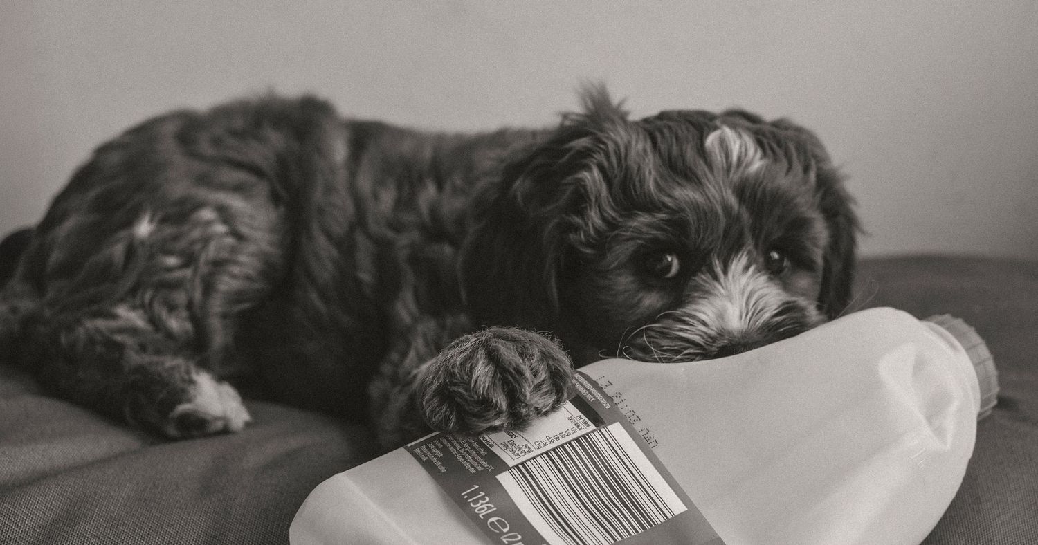 Baby Libby - At home
