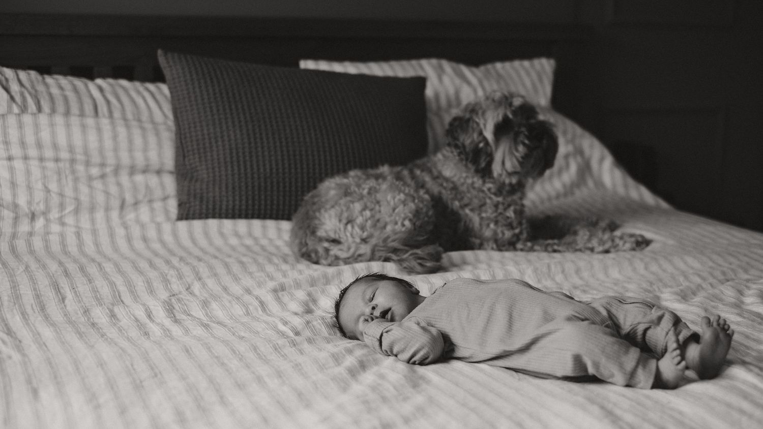 Babies Bestie - At home Family Lifestyle Shoot