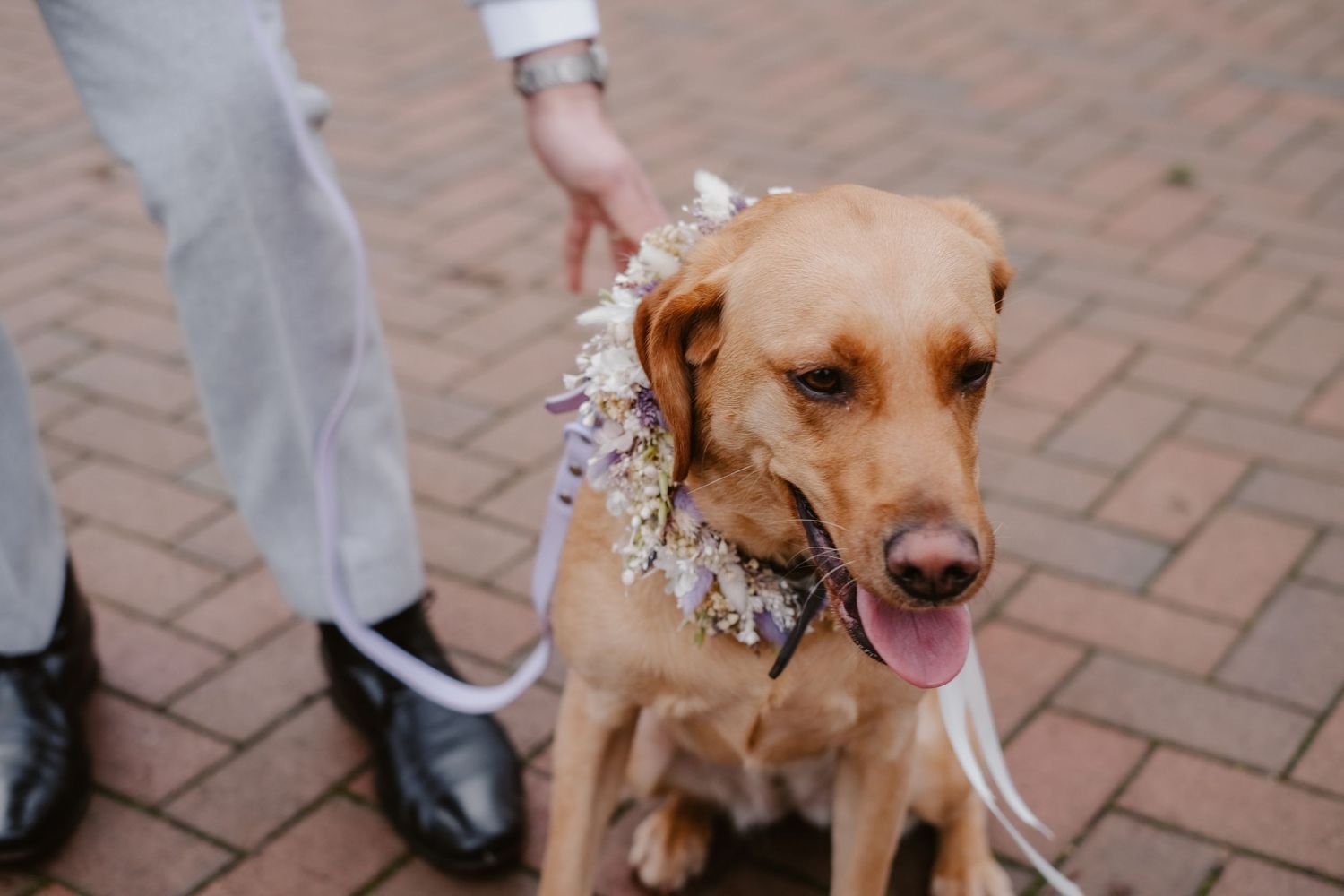 The Wedding