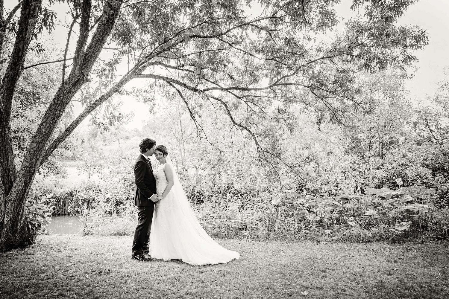 A romantic black and white wedding photo series showing intimate moments between a couple in a garden setting beneath a large willow tree