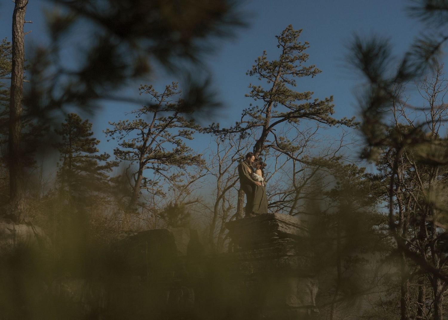 A couple stands among tall pine trees against a moody blue sky in a romantic outdoor portrait setting.