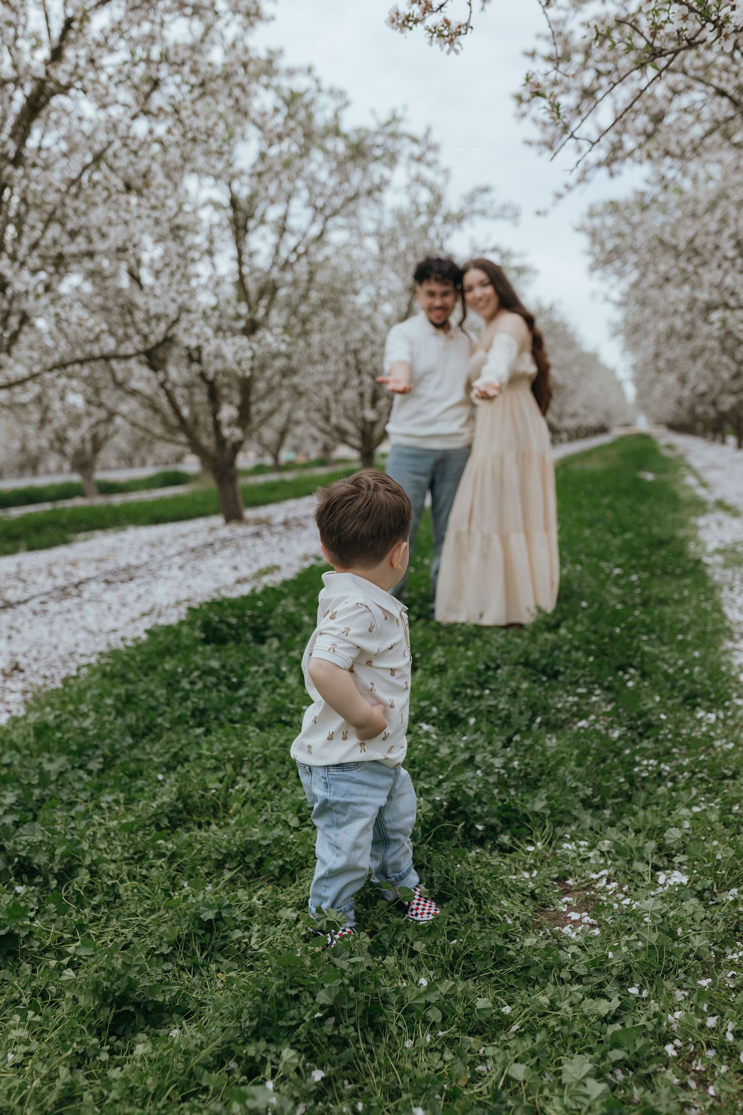 in an almond blossom orchard, a mom and dad hold their hands out to their 1 year old child