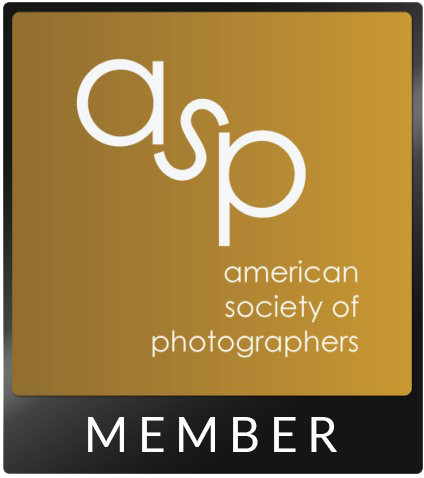 Gold and black badge for the American Society of Photographers (ASP) displaying the word Member at the bottom.