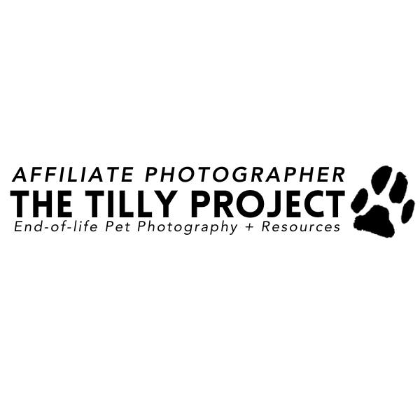 Professional photography logo for The Tilly Project featuring text and a paw print icon for end-of-life pet services.