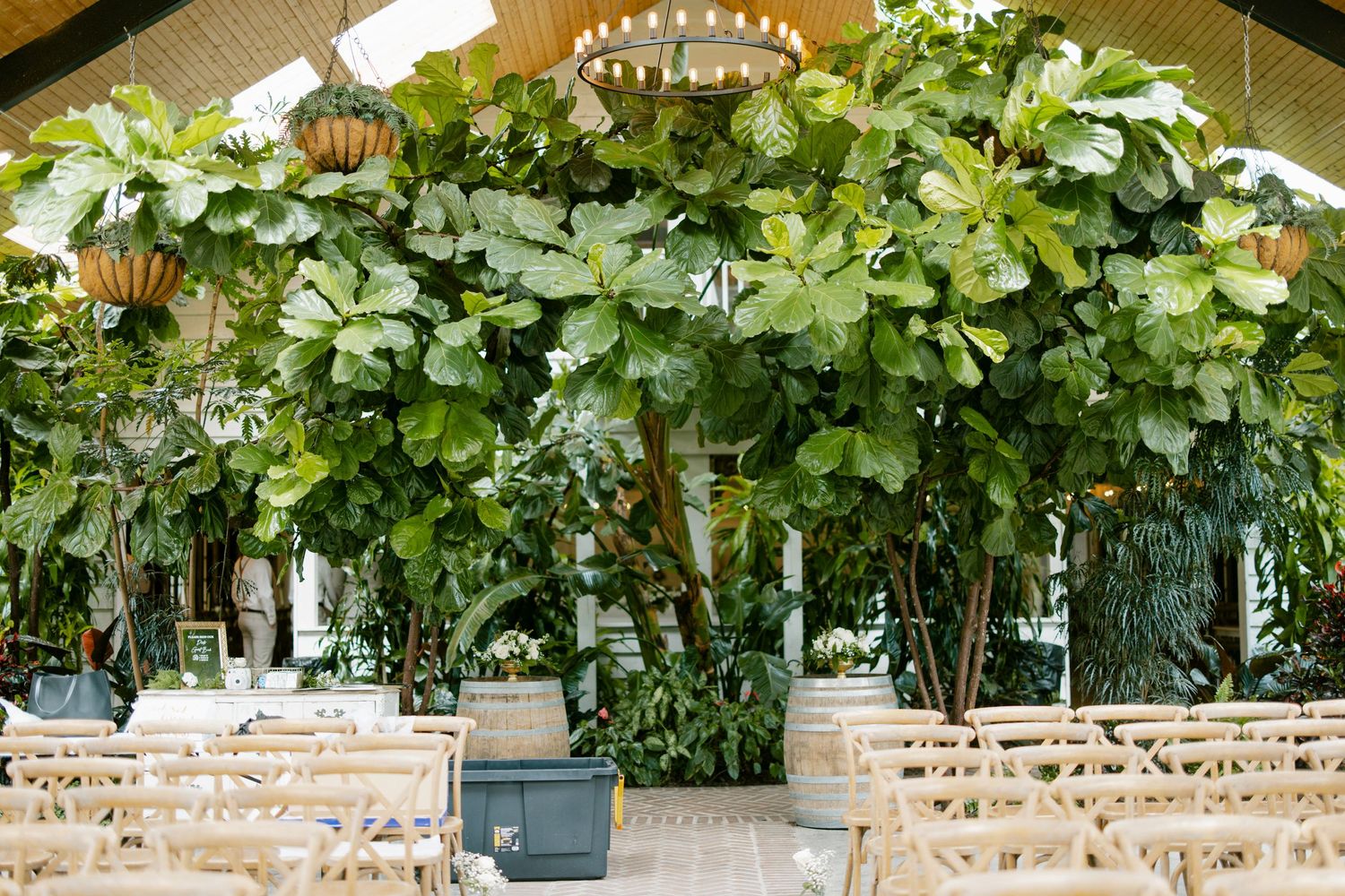 Elegant wedding venue setup with lush greenery arch and wooden crossback chairs.