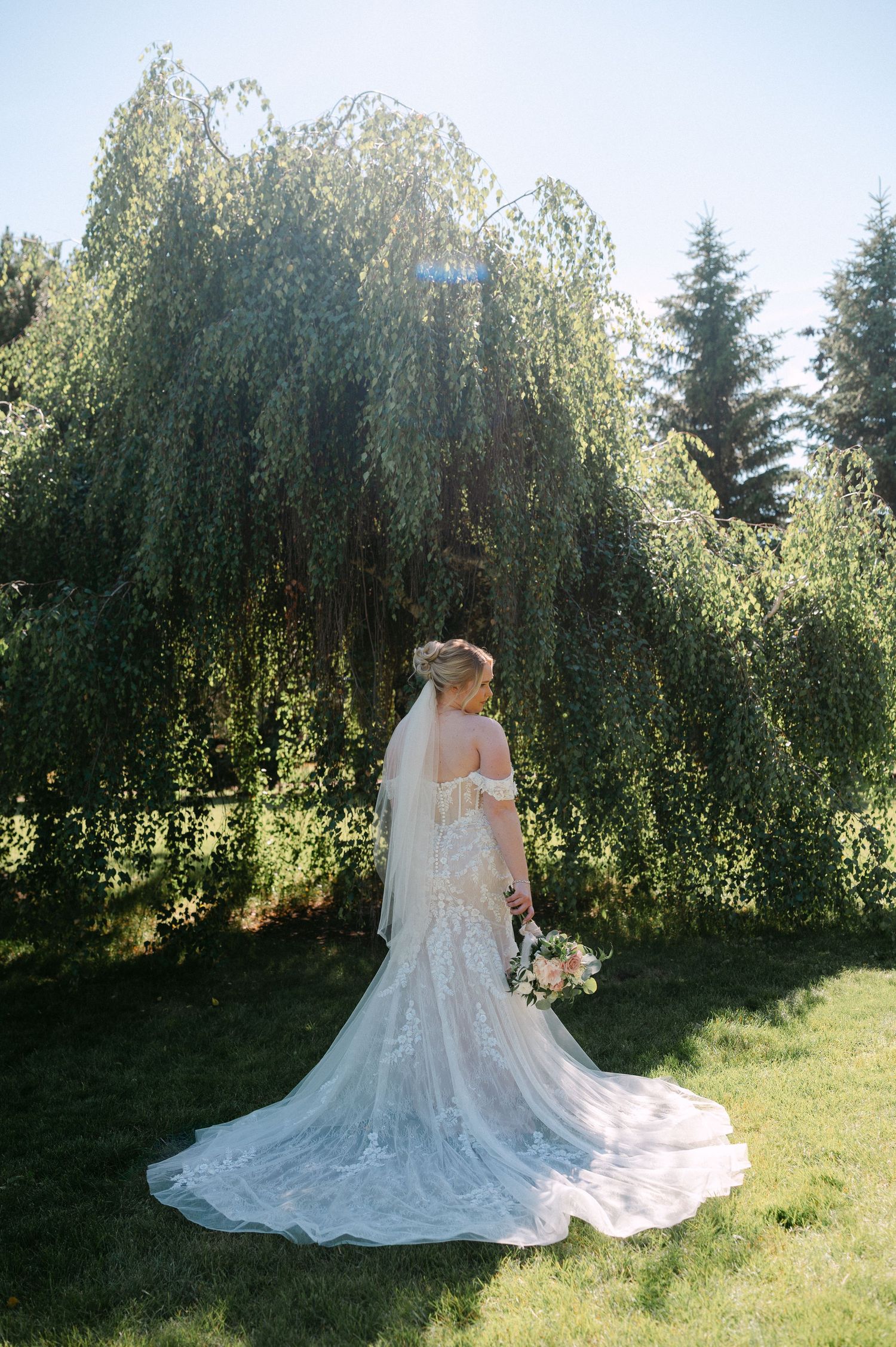 Bride in lace gown and veil holds bouquet before a weeping willow tree on sunny wedding day.