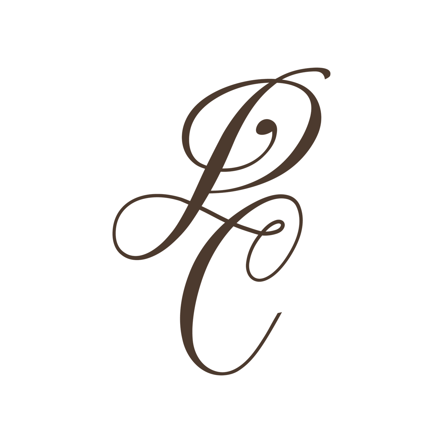 Elegant cursive PC monogram logo in dark brown script for Prairie Creek Photography.