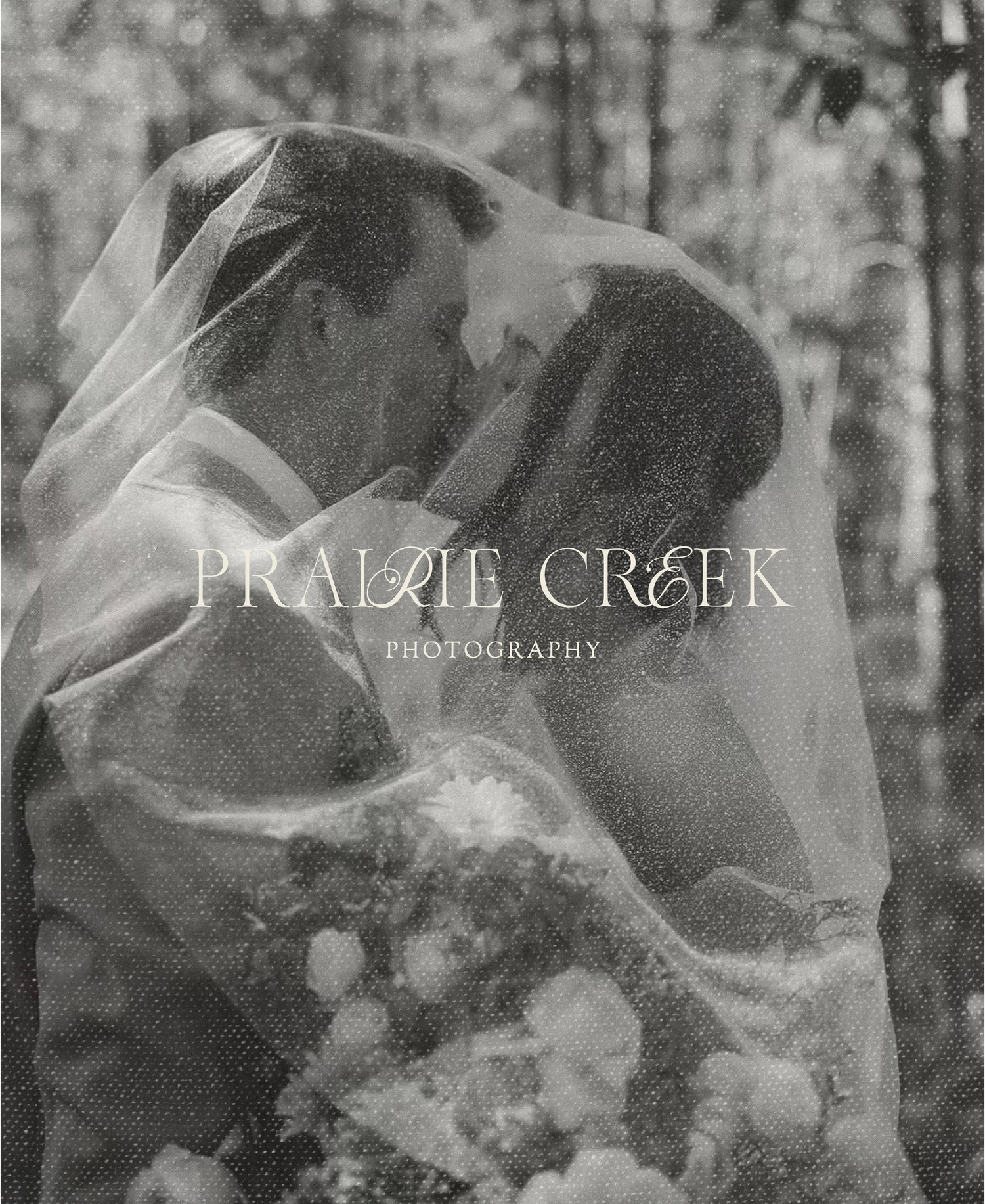 Black and white photo of couple kissing under a veil with Prairie Creek Photography logo.