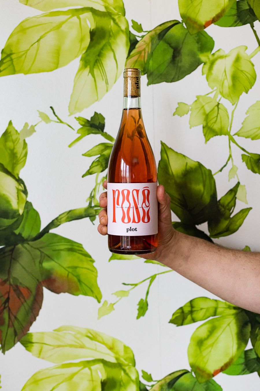 Bottle of wine with a background of bright green floral wallpaper
