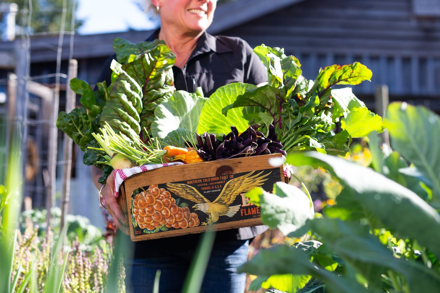 woman holding a basket full of fresh vegetables in a garden