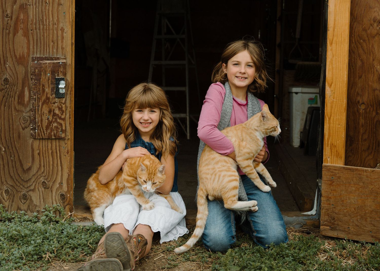 Two young girls sitting in a barn doorway smiling and holding orange tabby cats on a sunny day.