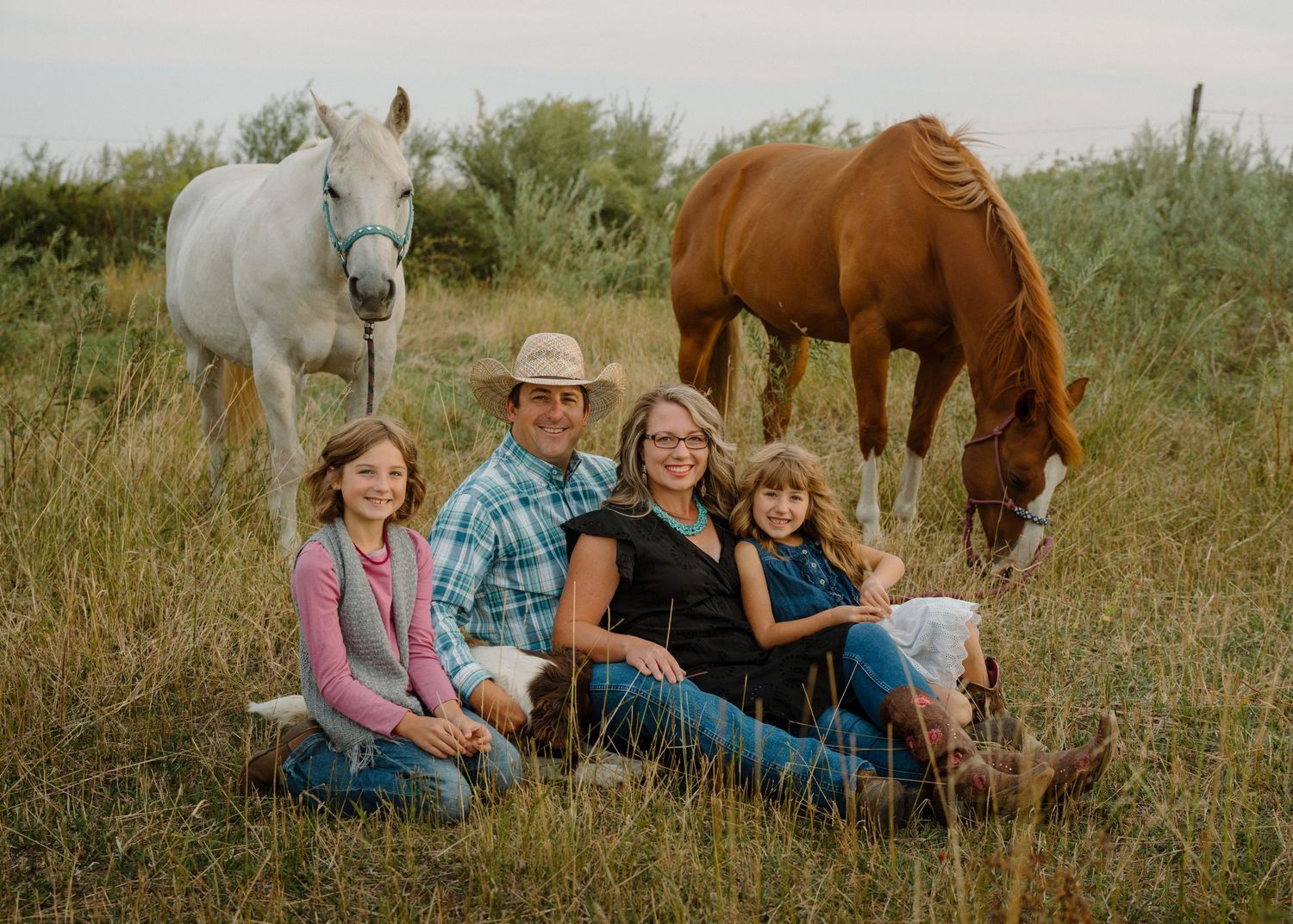 Family of four sitting in tall grass with two grazing horses in golden field portrait.