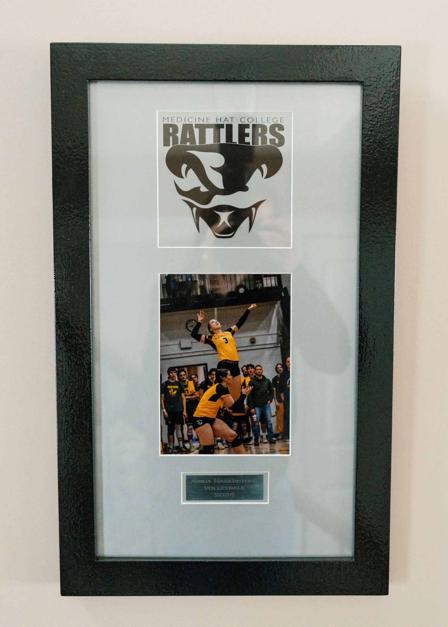 Medicine Hat College Rattlers sports award frame with volleyball action photo and team logo.