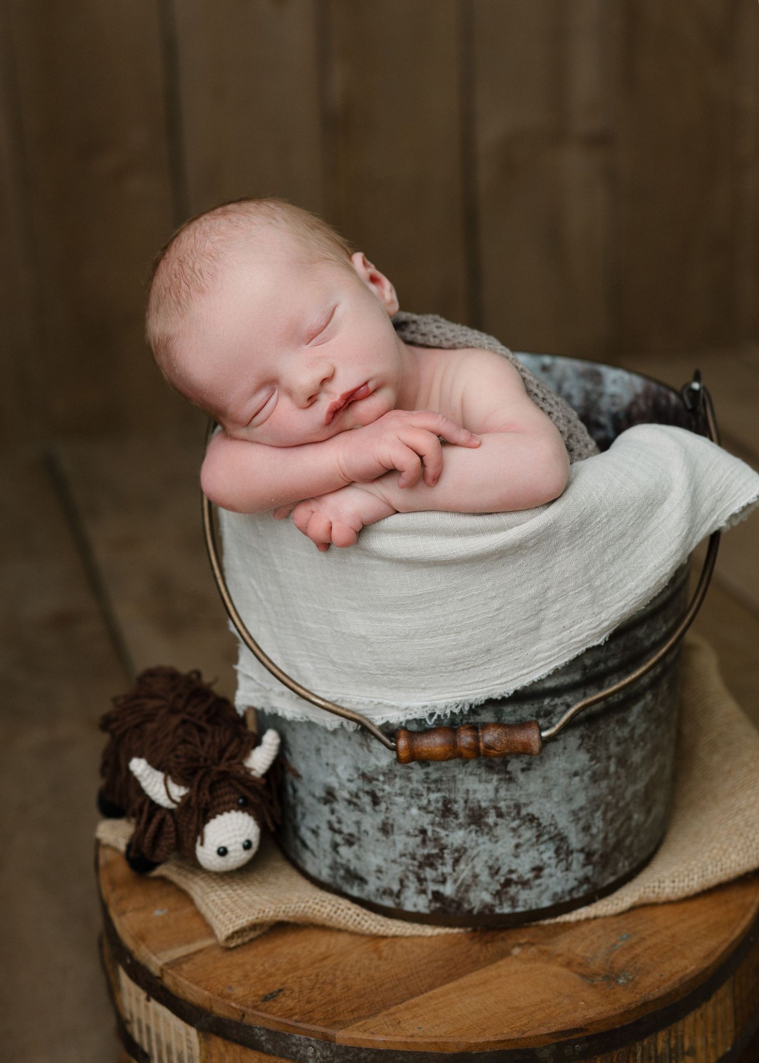 Sleeping newborn baby posed in a rustic metal bucket with a knit highland cow toy nearby.