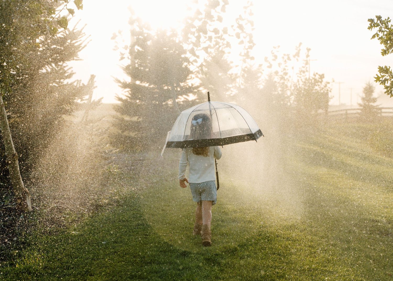 Girl walking in lush green yard holding clear bubble umbrella in golden misty rain shower light.