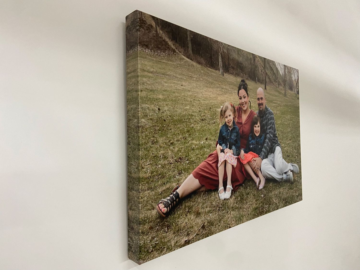 Side view of a canvas print showing a family of four sitting together on green grass in a park setting.