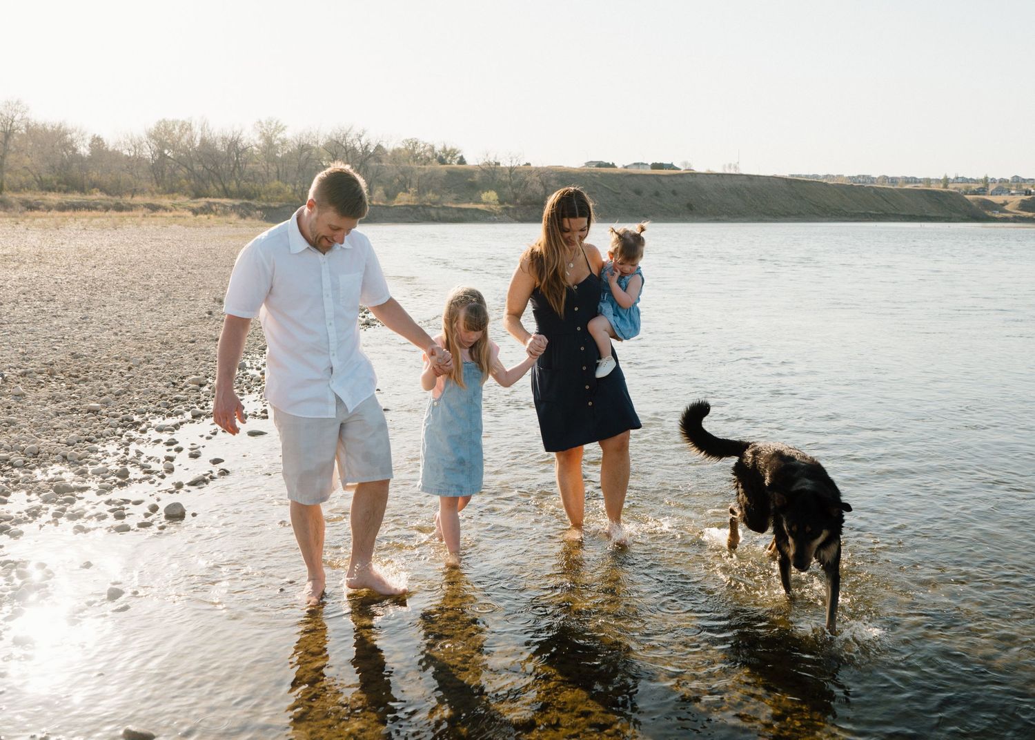 Family with two kids and a dog wading in shallow water on a sunny beach day.