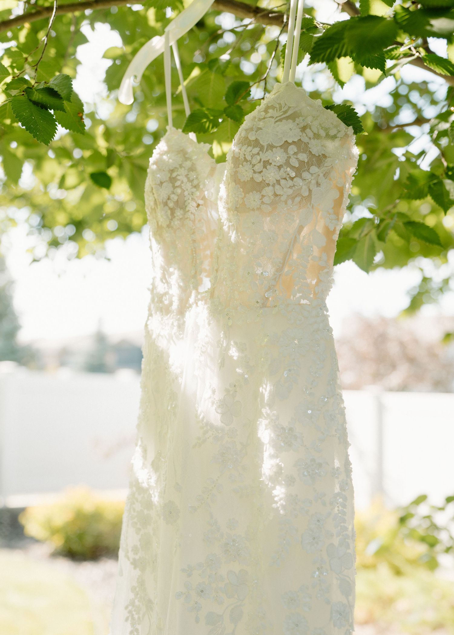 Lace wedding dress with floral embroidery hanging from tree branch in sunlit outdoor setting.