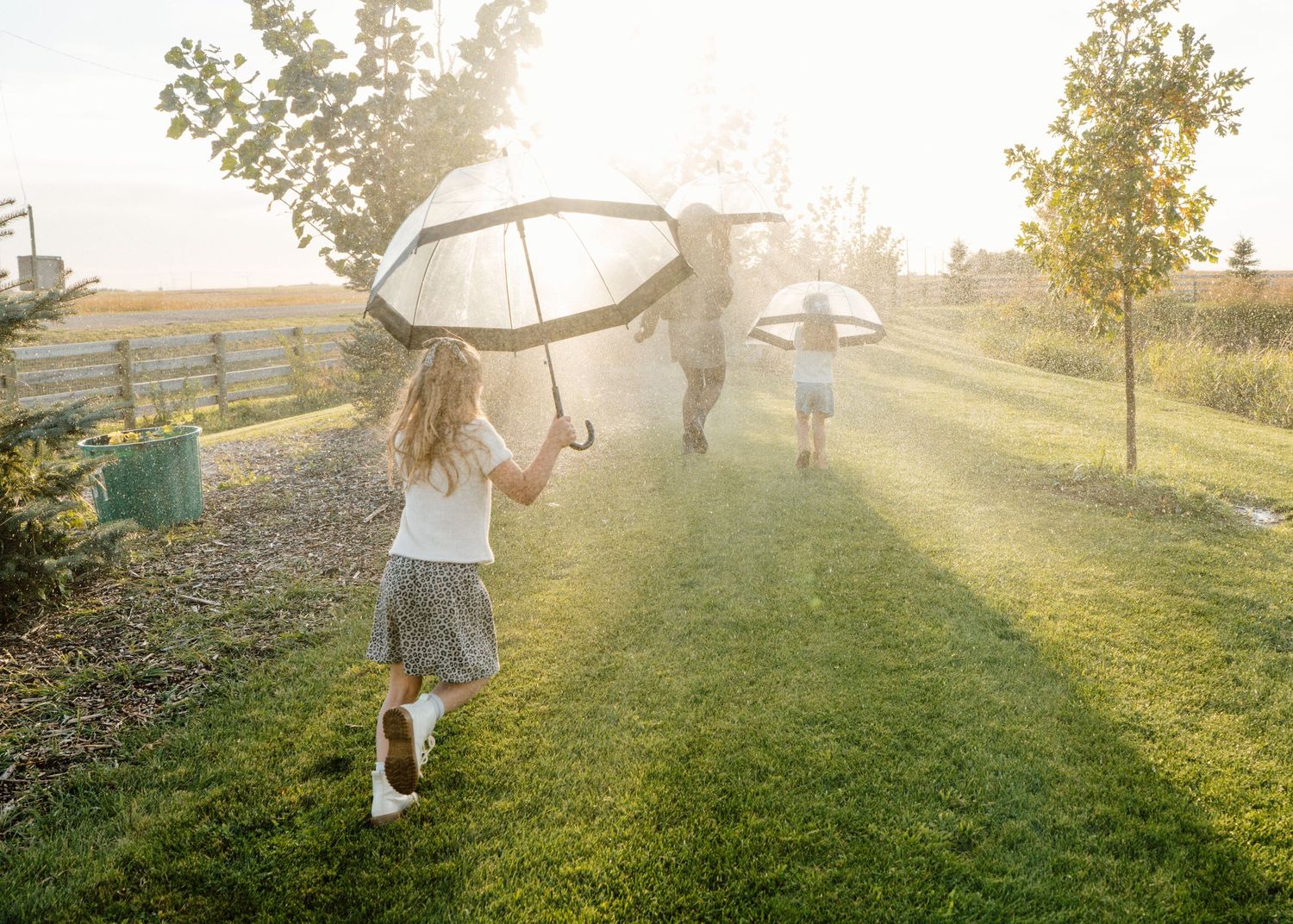 Children running with clear umbrellas through sunlit green grass on a warm summer day.