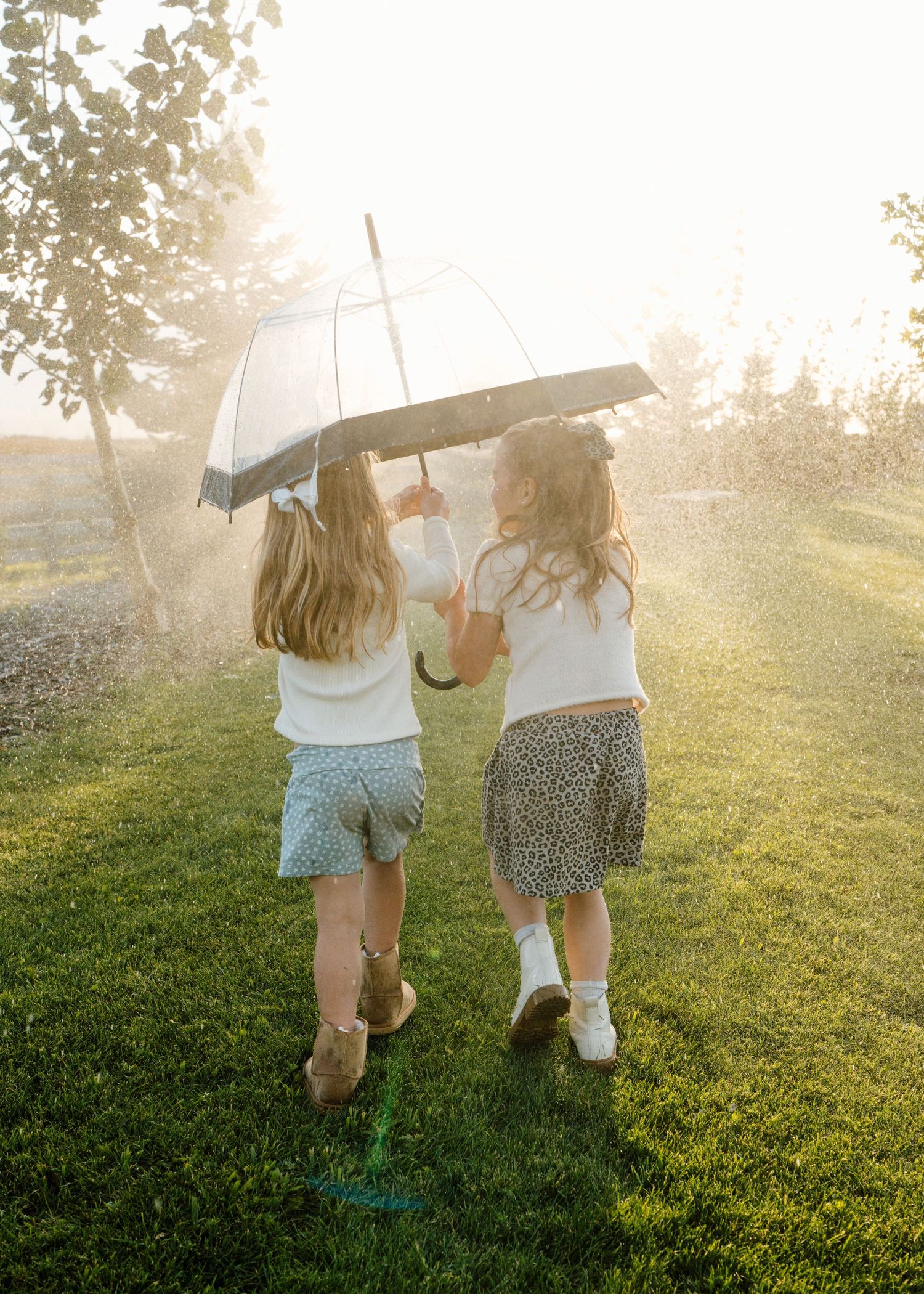 Two girls share a clear umbrella walking through golden sunlight on lush green grass.