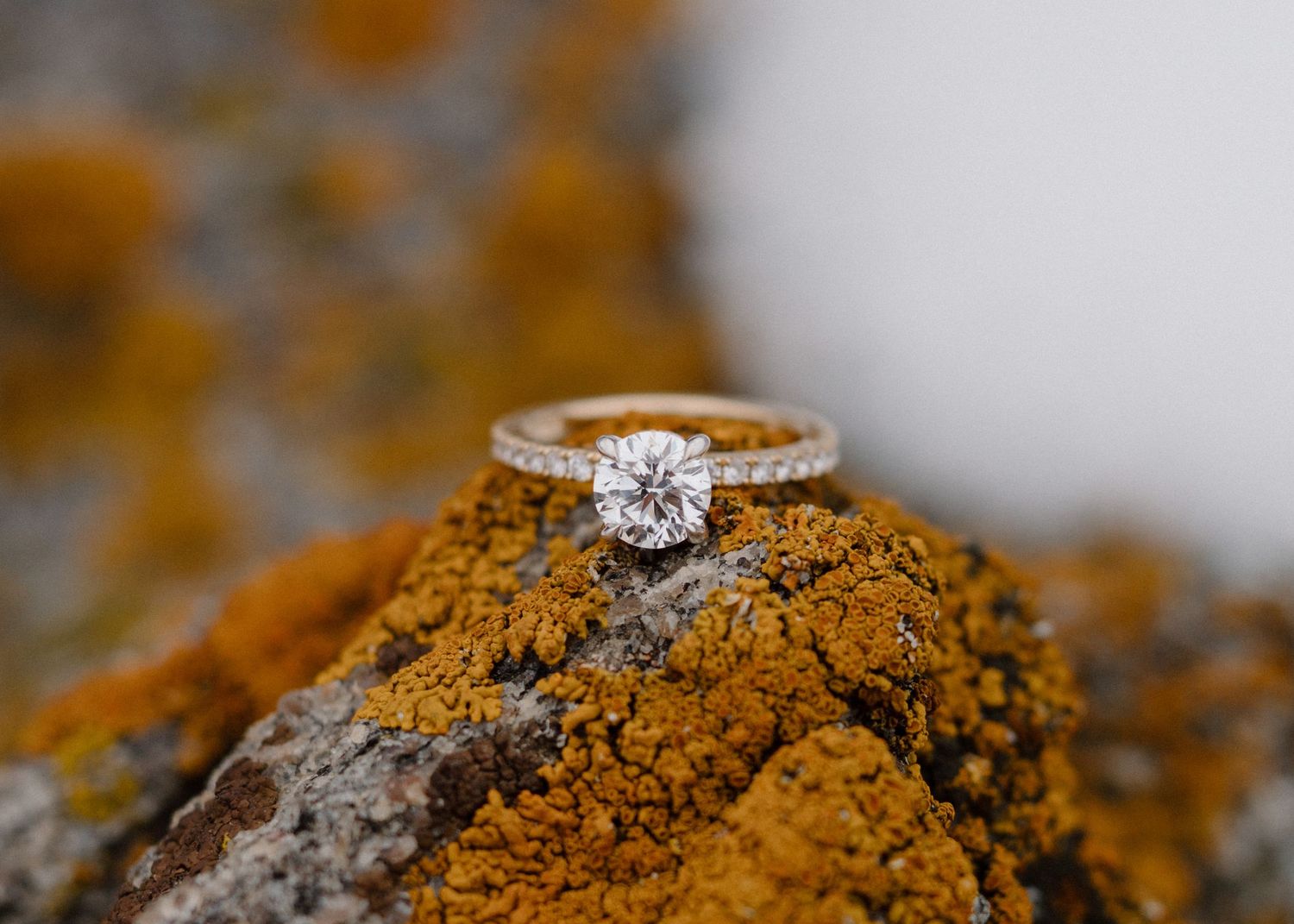 Round diamond solitaire engagement ring on rose gold band resting on lichen-covered rock outdoors.