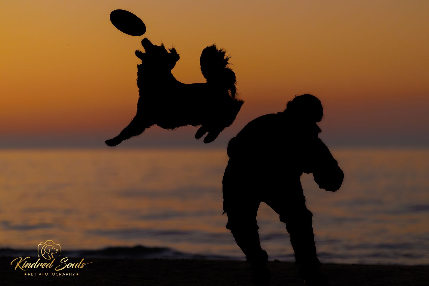Silhouette of a dog jumping high to catch a frisbee thrown by owner on beach at sunset.