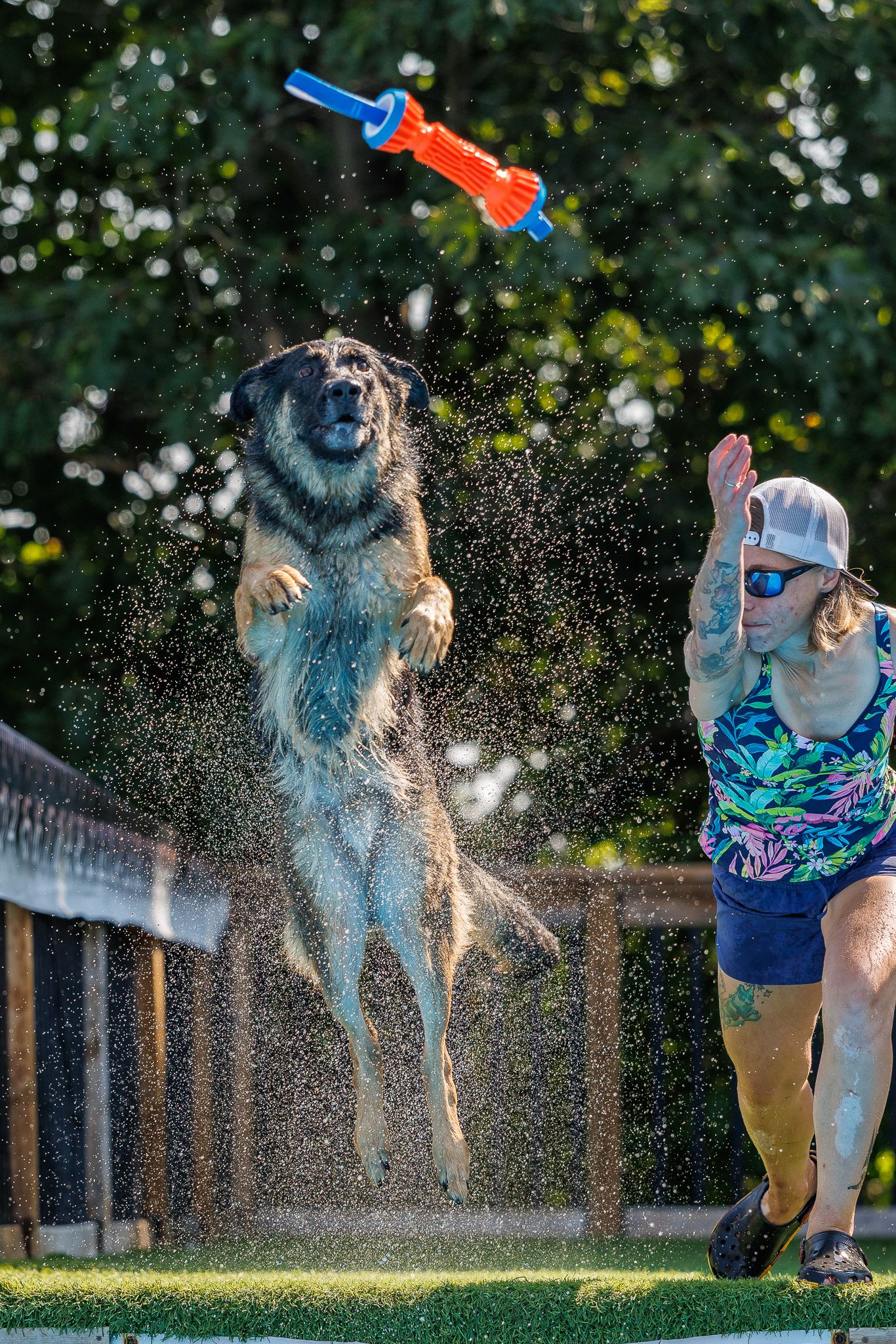 A large wet dog leaps into the air chasing a water gun toy while a woman in a colorful swimsuit reacts nearby.