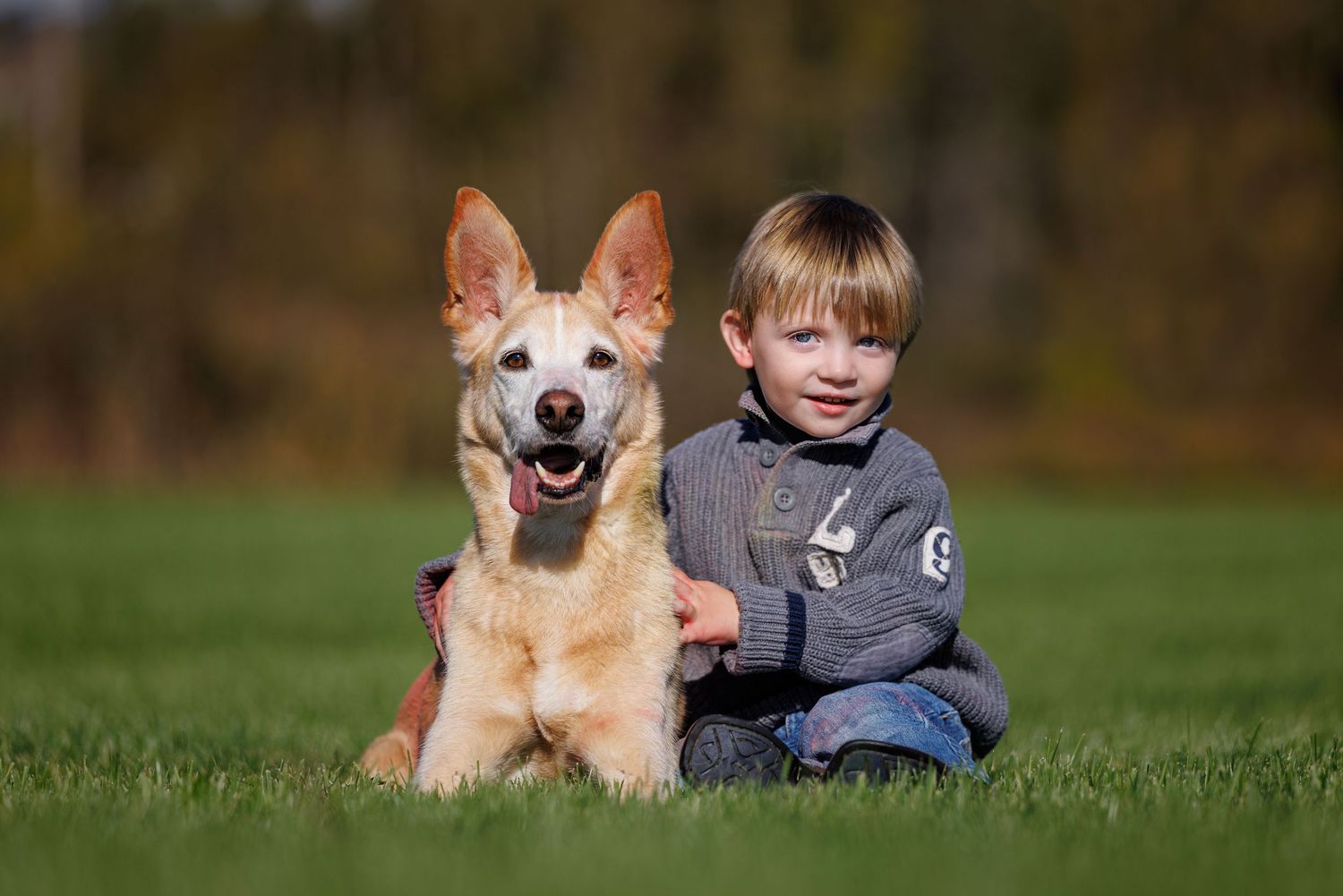 A young blonde boy sits on green grass smiling beside a happy tan dog in an outdoor park setting.