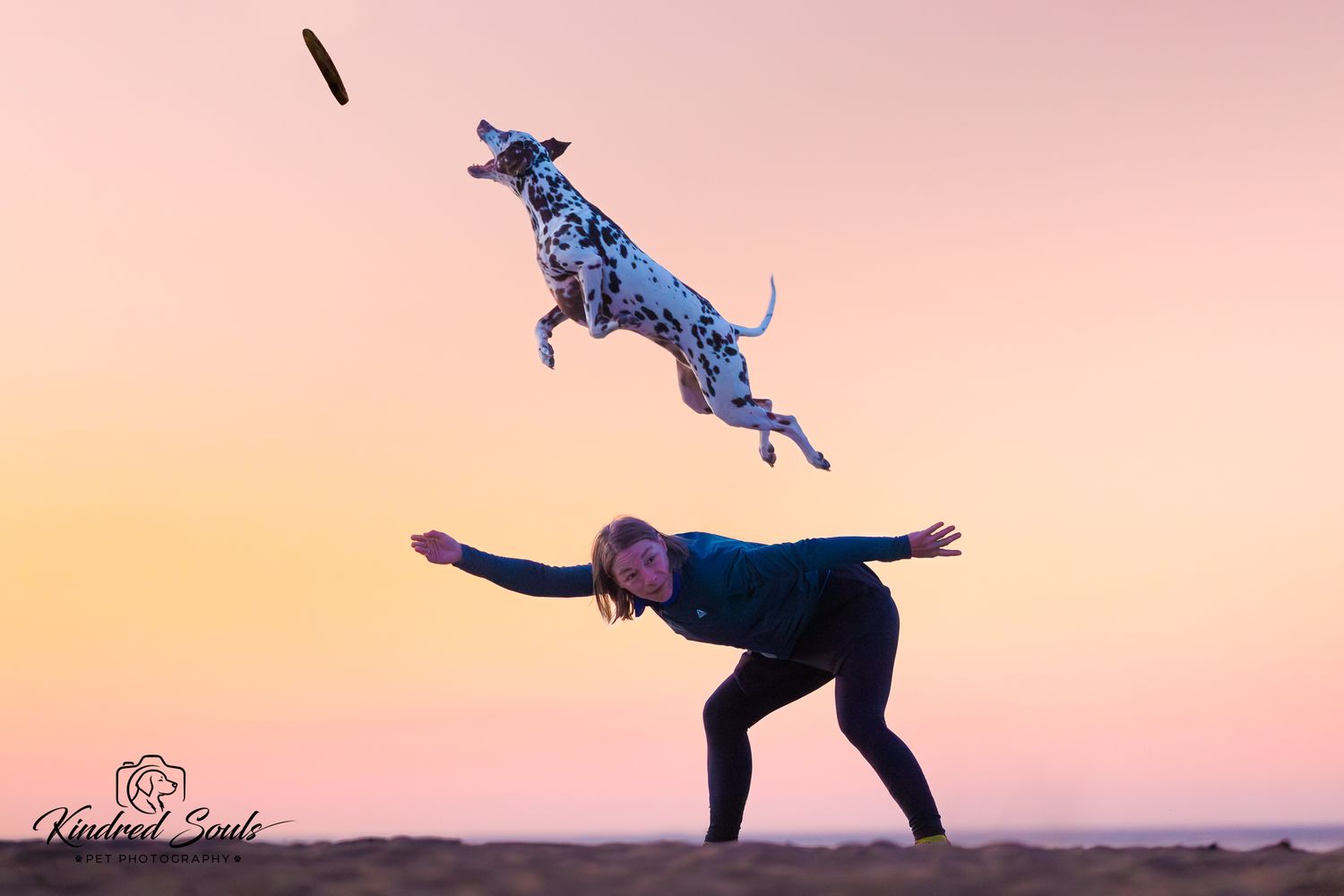 Dalmatian dog jumping high to catch a frisbee thrown by a woman on a beach at sunset.