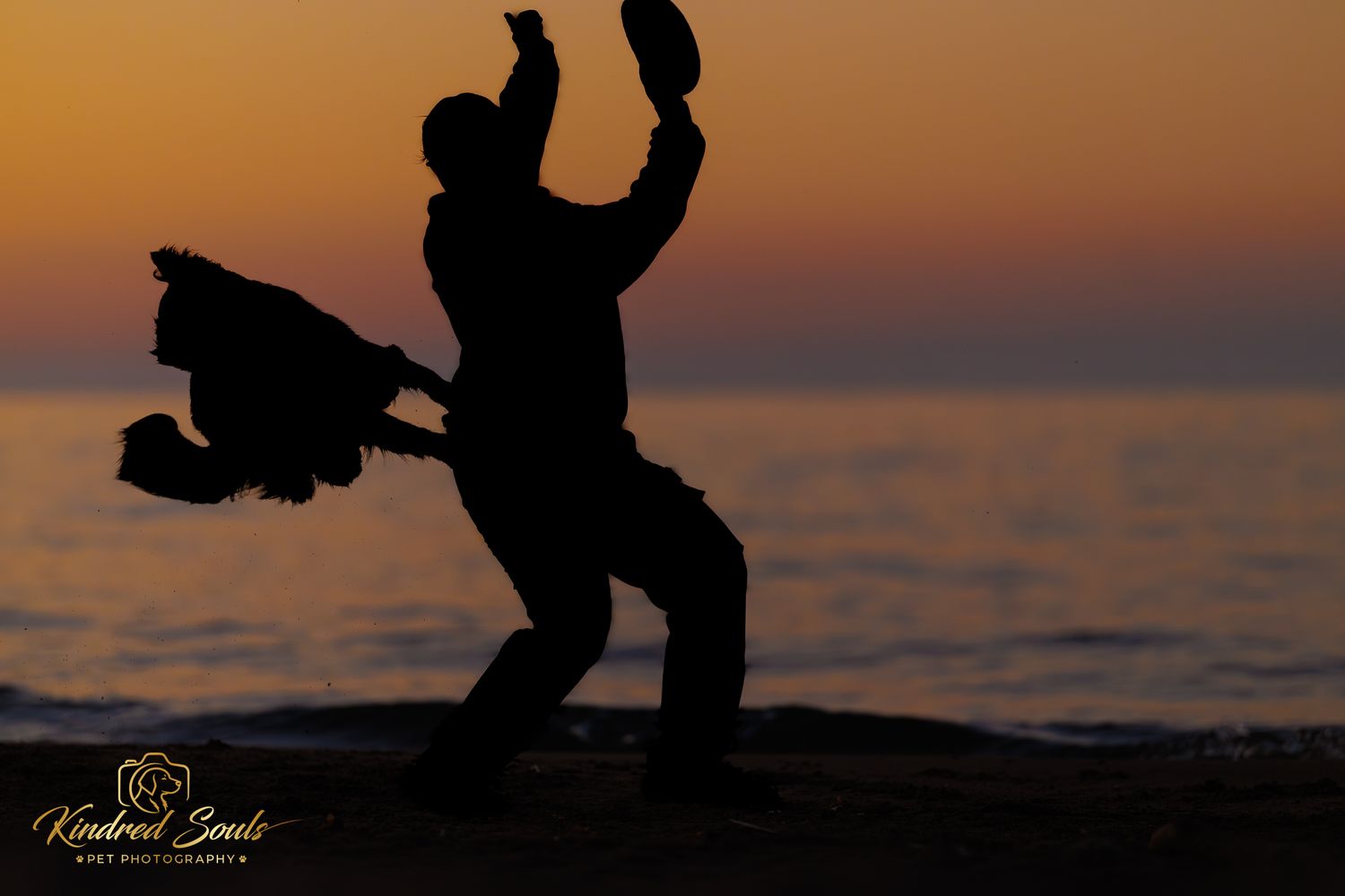 Silhouette of a person and dog playing on a beach at sunset.
