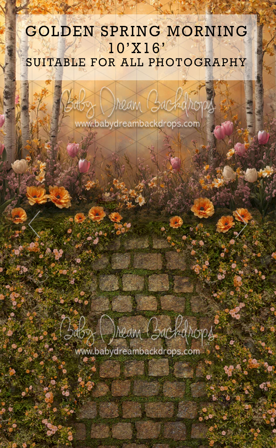Golden Spring Morning 10x16 photography backdrop featuring cobblestone path, birch trees, and colorful spring flowers.
