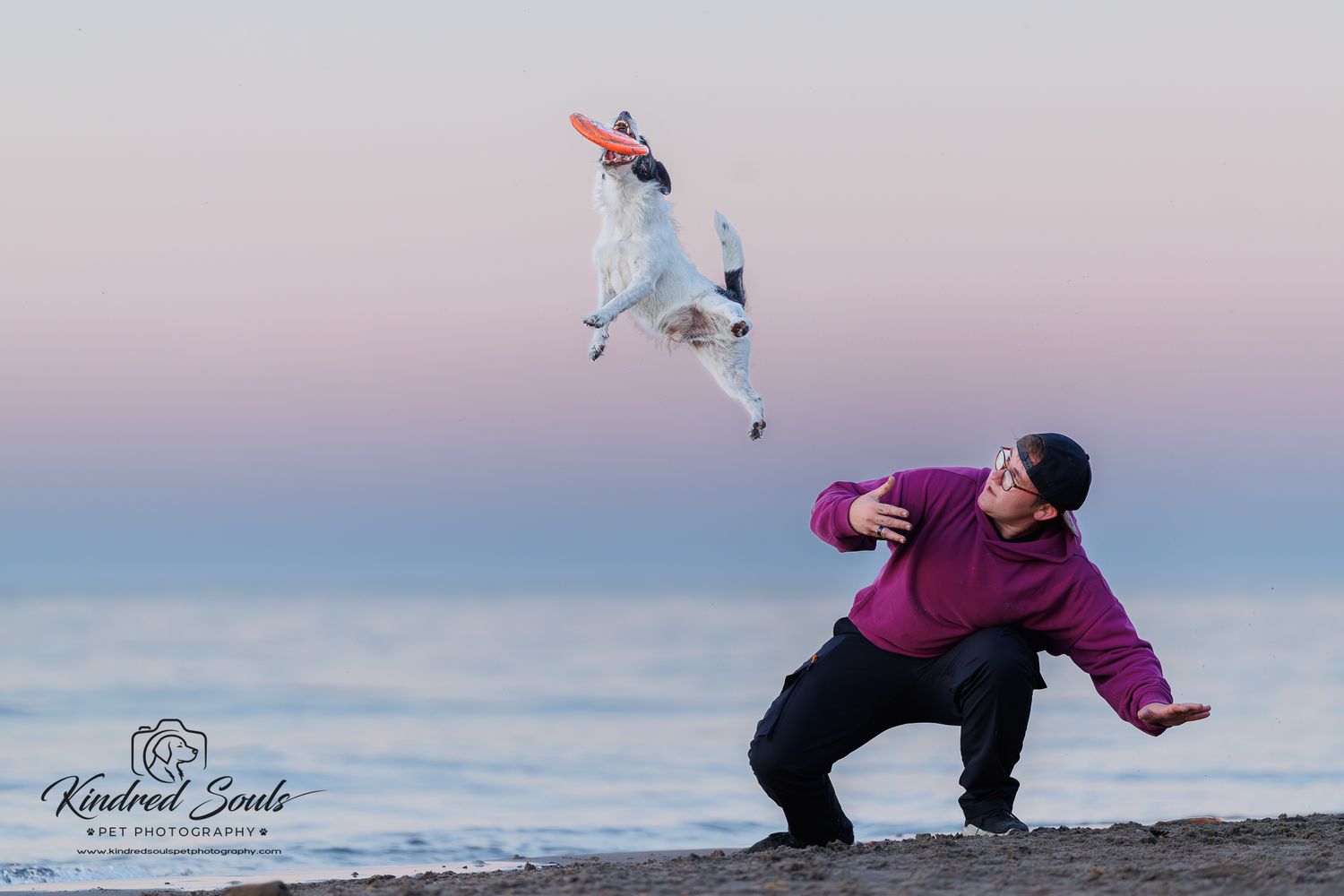 A dog leaps high to catch a red frisbee thrown by a person on a beach at sunset.