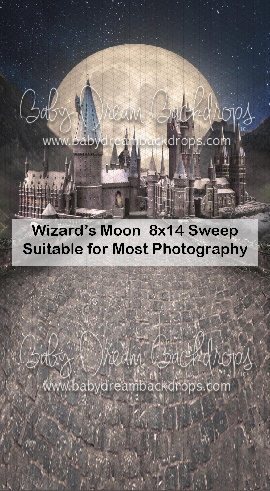 Wizard's Moon 8x14 sweep photography backdrop featuring a magical castle under a full moon with a cobblestone floor.